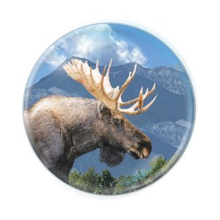 Obrázek z Magnet kulatý 5cm - los (12) 